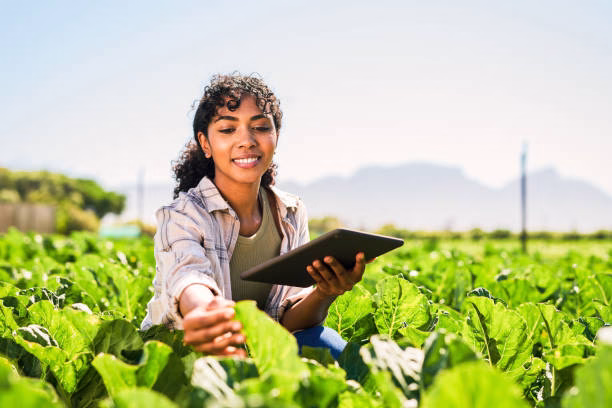 The Role of Science and Technology in 21st Century Food Production