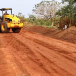 How Road Networks Enhance Agricultural Growth